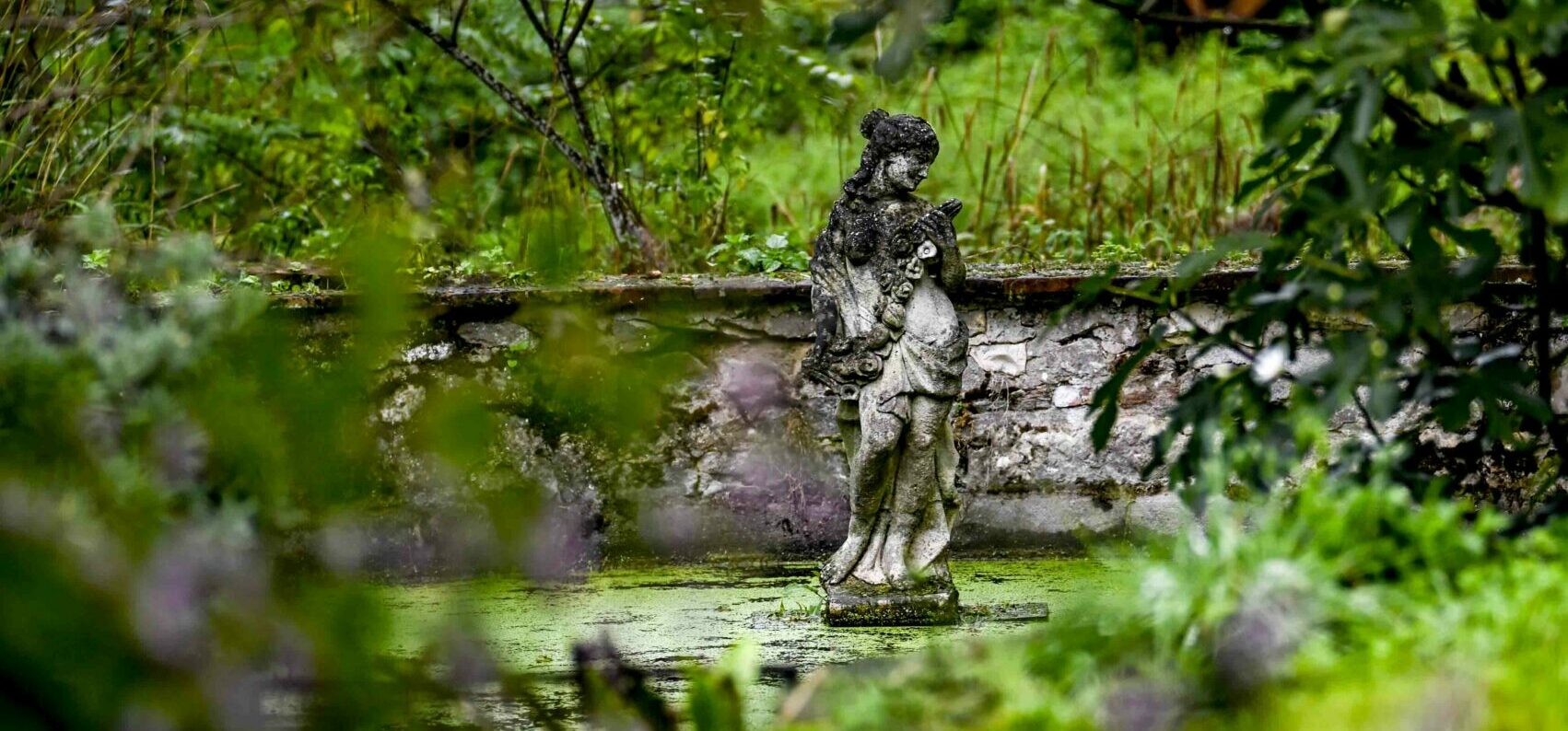 Le Jardin sous la pluie